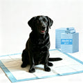 Puppy Pads 23x30 in Blue 30CT