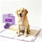 Puppy Pads 28x34 Lavender 30CT