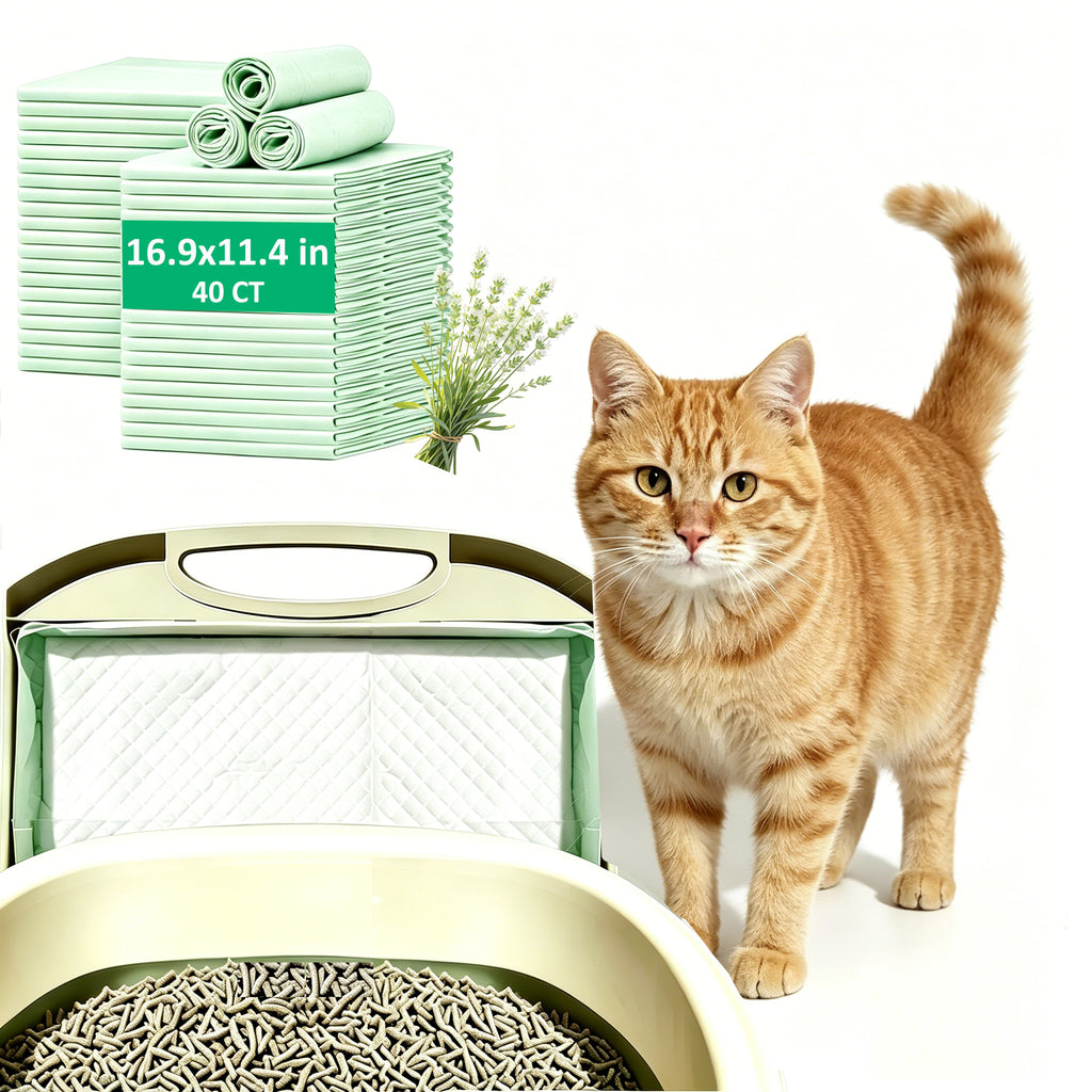 Cat Litter Pads Light Green 40CT