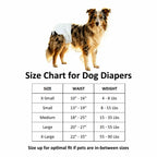 Vacayinsider Disposable Female Dog Diaper - Comfortable Fit XL - 12ct (22-35 in Waist)
