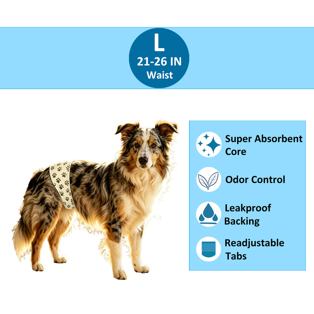 Disposable Male Dog Wrap - Paw Print Design L
